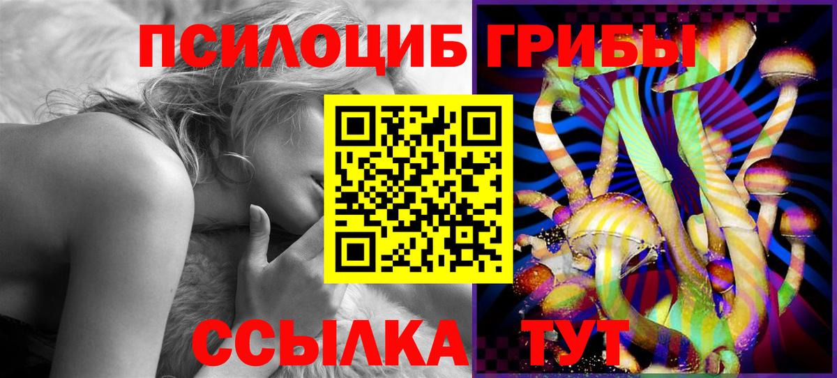 Гай  Псилоцибиновые грибы Psilocybe  Вход с VPN 